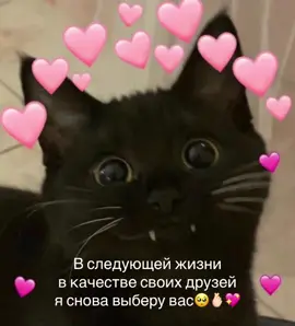 Спасибо, что делаете мою жизнь ярче💖💖💖 @cute unicorn @🖤𝖆𝖗𝖘𝖊𝖓 𝖕𝖆𝖗𝖐🖤 @hanitinee @marmushott @a @жесси @angelakonosh @Верр @yara @anechka @Бабаевский @S3TSUK0 @capypapapabara @Histn @andi @сахарок @kityMiniCat @Anсhes @друк @Анюта про 228 @️ @𓆩୧ᴀʀɪᴀɴɪᴍɪ୨ ネコ @[t] @squmio @ans @Shuntaro Chishiya @rasul.d @𝐒𝐚𝐫𝐢𝐚 @хуй @Surprise bitch  #fyp 