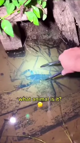 Scared me too death! 😳😂😭