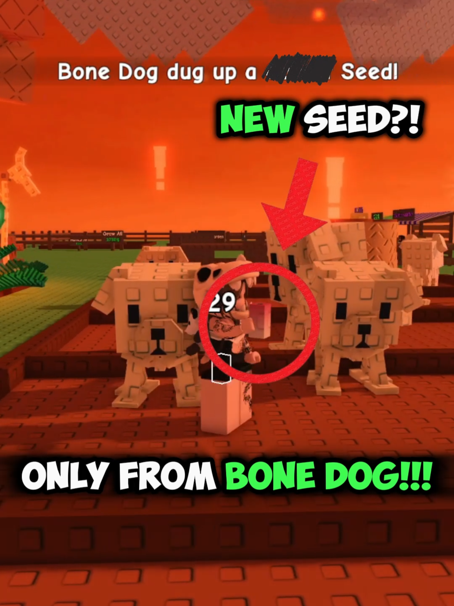 You can only get this NEW SEED from BONE DOGS?! | Banesberry Seed in Grow a Garden #fyp #fypシ #roblox #update #jandel #event #gag #growagarden #growagardenroblox #growagardenupdate #halloween #bonedog #bone #dog #new #seed #banesberry