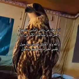 #foryoupage || #explore || #fypage || #شيلات 