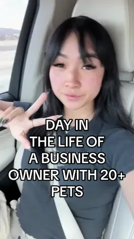 The day in the life of a very busy business owner with over 20 pets😮‍💨♥️ #Vlog #dayinmylife #fyp 
