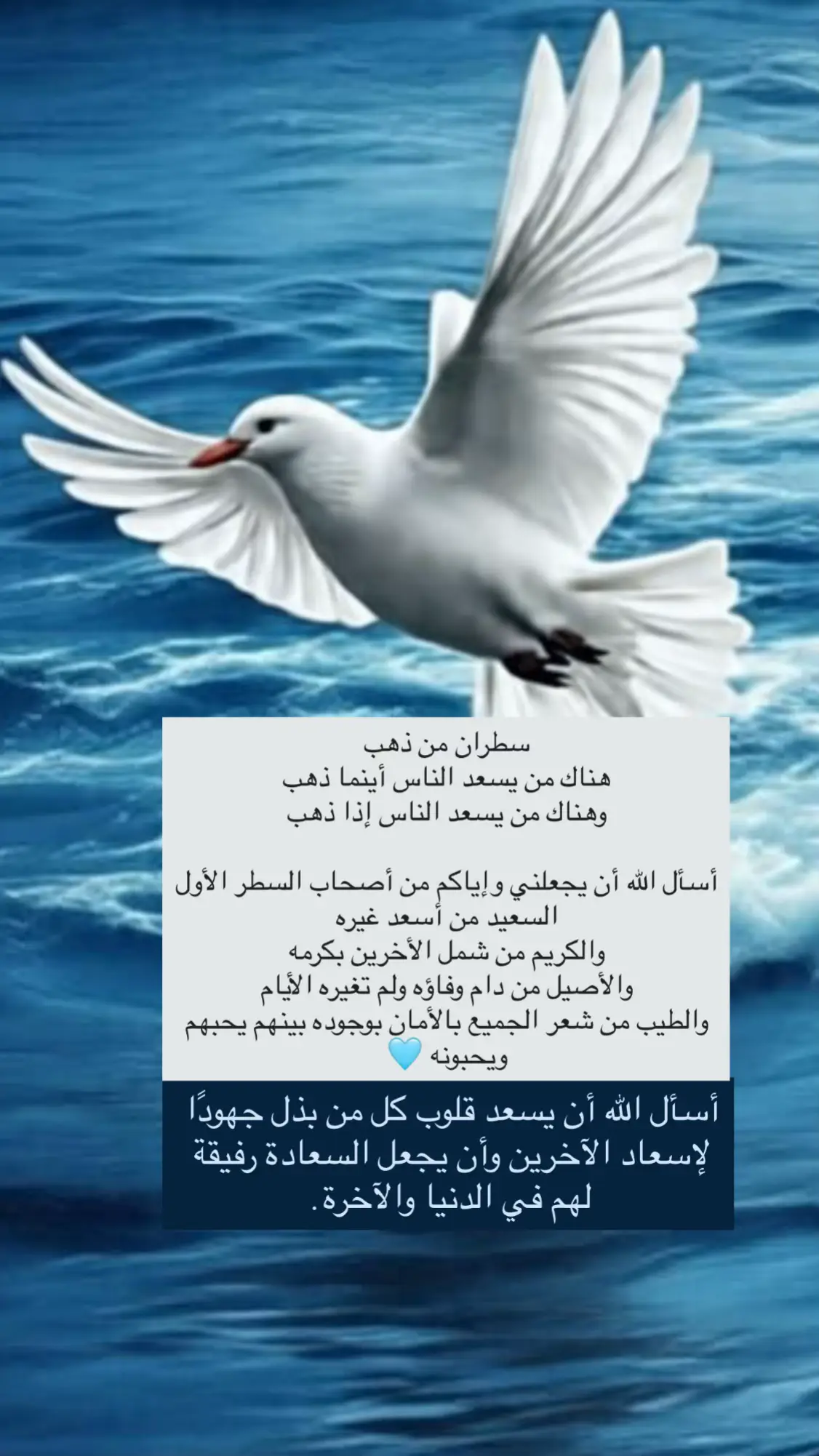 #اكسبلور #explore #ftypシ #الطير #تصميم 