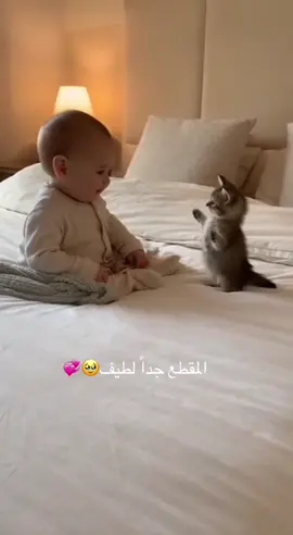 المقطع لطيييييف🥹💞 #طفلي_المدلل👑❤️ #أطفال #قطط #كيوت💞 