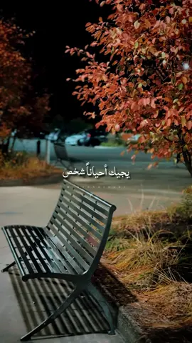 ثم يهديك الله شخصاً ينير عتمتك 🧡#canada_life🇨🇦 #ناصر_الوبير 