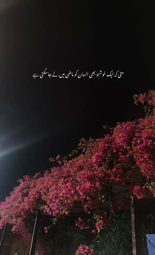 کبھی کبھی کوئی خوشبو، کسی لمحے کی طرح دل کو چھو کر گزر جاتی ہے… اور ہم بے اختیار ماضی کے اُس موڑ پر جا پہنچتے ہیں، جہاں ہنسی بھی تھی، احساس بھی، اور وہ چہرہ جو اب صرف یادوں میں رہ گیا ہے۔ ایسا لگتا ہے جیسے وقت رُک سا گیا ہو، اور وہ ایک لمحہ — وہ ایک خوشبو — پھر سے دل کے آس پاس سانس لینے لگتی ہے۔🌸🫠 #یادوں_کی_خوشبو #ماضی_کا_لمحہ #دل_کا_سفر #foryoupage #foryou 