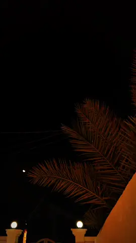 #غيث_صباح #تصويري 