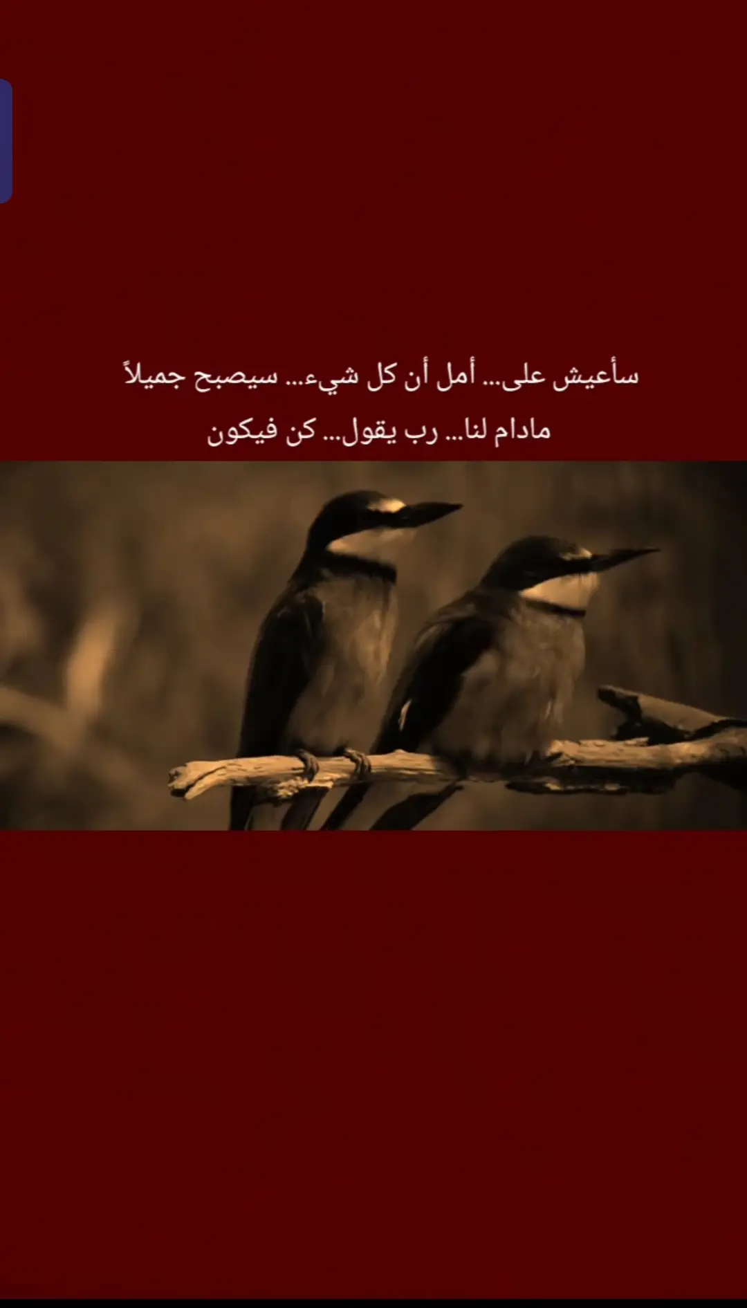 #تصميم_فيديوهات🎶🎤🎬 #مشاهدات #عادت_نشر🔁 #عبارات_حزينه💔 #عباراتكم_الفخمه📿📌 