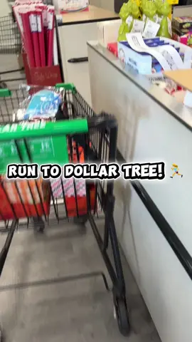 Such awesome finds at Dollar Tree! #creatorsearchinsights #dollartree #dollartreefinds #dollartreehaul #newatdollartree 
