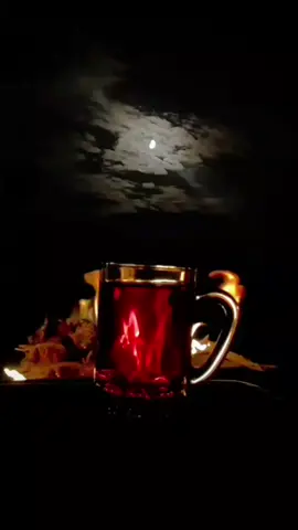 #شعر #اكسبلور 