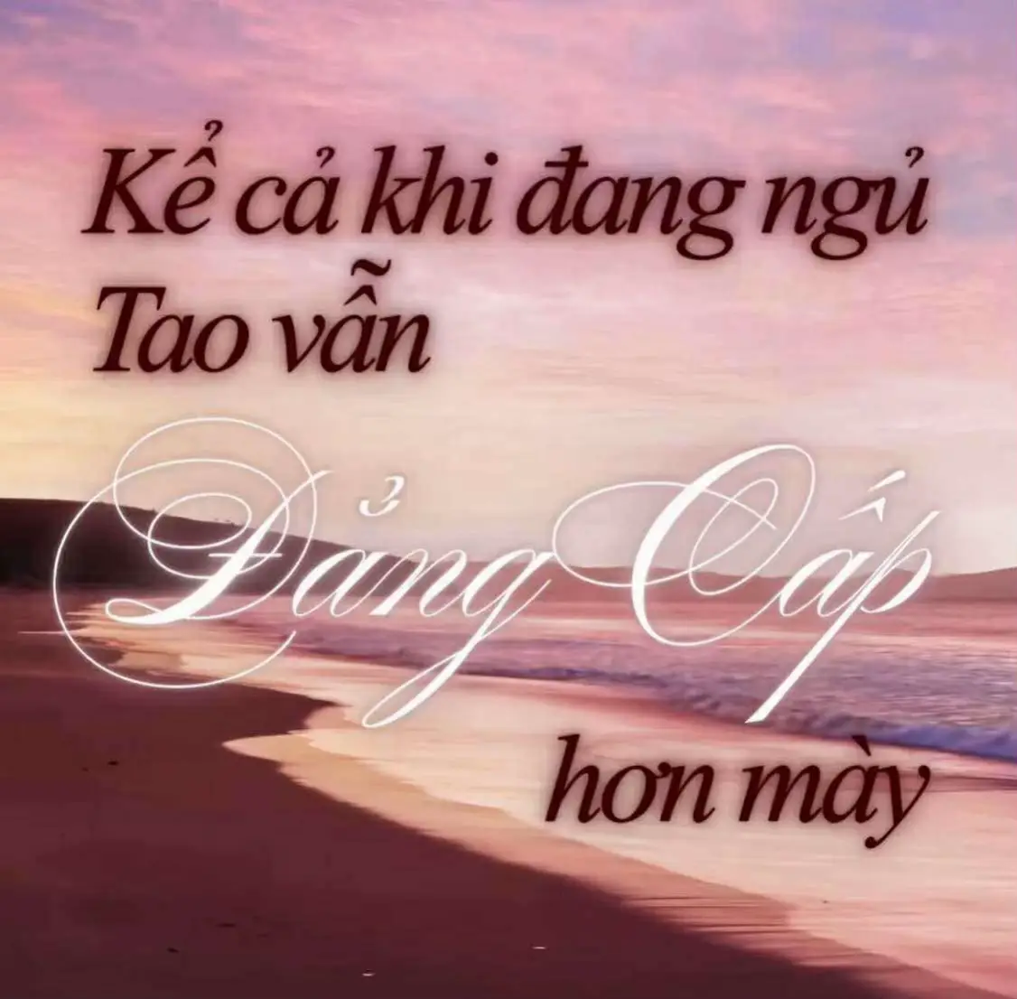 #xuhuong #xedien #viral #xedienbentre🌴 