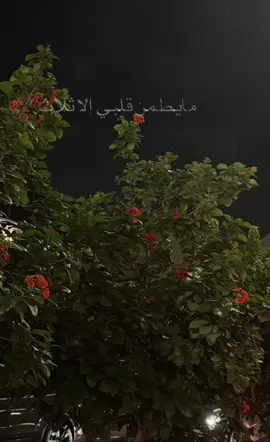 #CapCut#الحمدلله_دائماً_وابداً💚🌧️🤲 