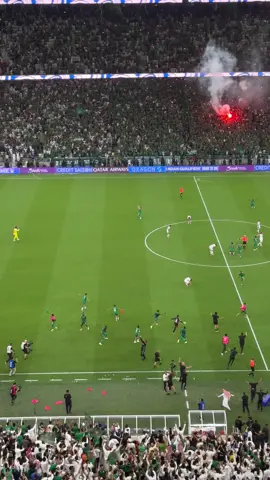المنتخب السعودي إلى كاس العالم 🔥🔥💚💚💚💚#المنتخب_السعودي #السعودية #دحمي_النصر #النصر 