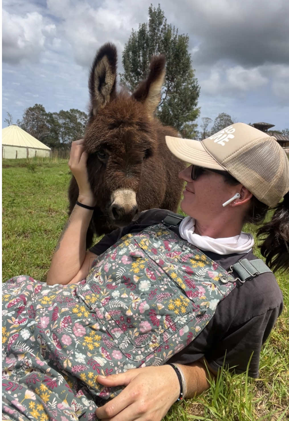 10/10 highly recommend. #farm #farmlife #farmanimals #donkey #minidonkey