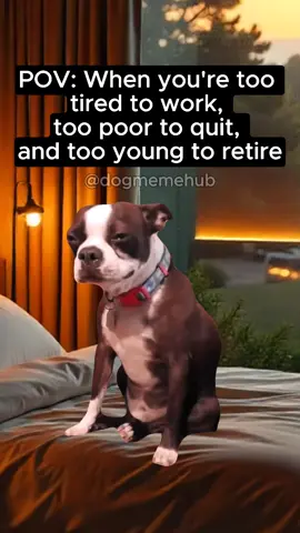 Em too young to retire😭😭 #dogmeme #viral #young #teen #funny 