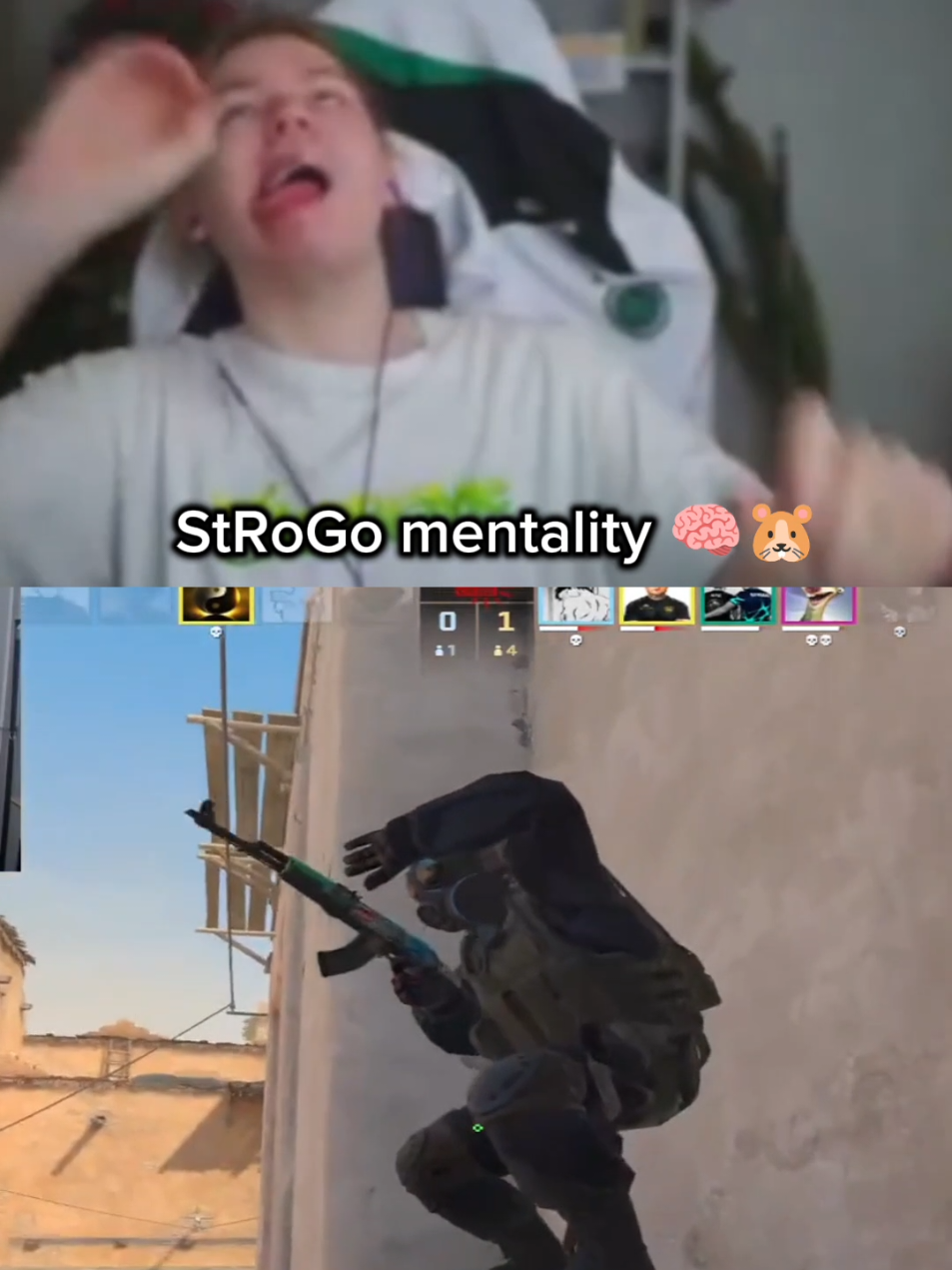🐹 twitch: StRoGo 💥🤯 strogo mentality 🧠🐹 #strogo #cs2 #counterstrike2 #строго #skywhywalker @StRoGo 