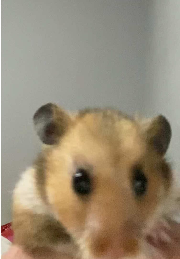 это что-то невозможное 