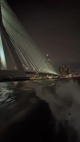 🌉  #rotterdam #🇳🇱 #netherland #niederlande 