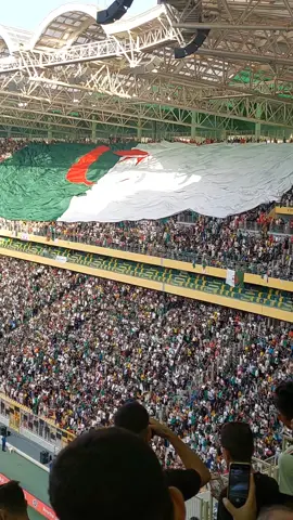 #العاميد🇮🇹 #الملودية #الشعب_الصيني_ماله_حل #
