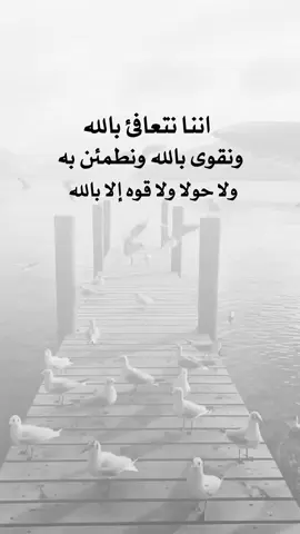 #إقتباسات عبارت ه #شبل#يمن#الشمال#عدن يجمال_اليمن ثقافة_يمنية تراث_يمني موسيقى_يمنية شباب_يمني ـــ فخر_يمني يمن_الحب تقاليد_يمنية