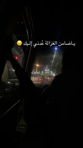 #ضامن_الجنة_غريبء_طوس_الامام_الرضا 