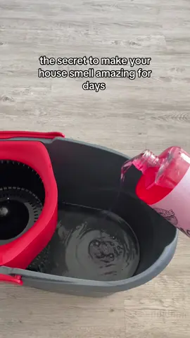 #cleaning #CleanTok 