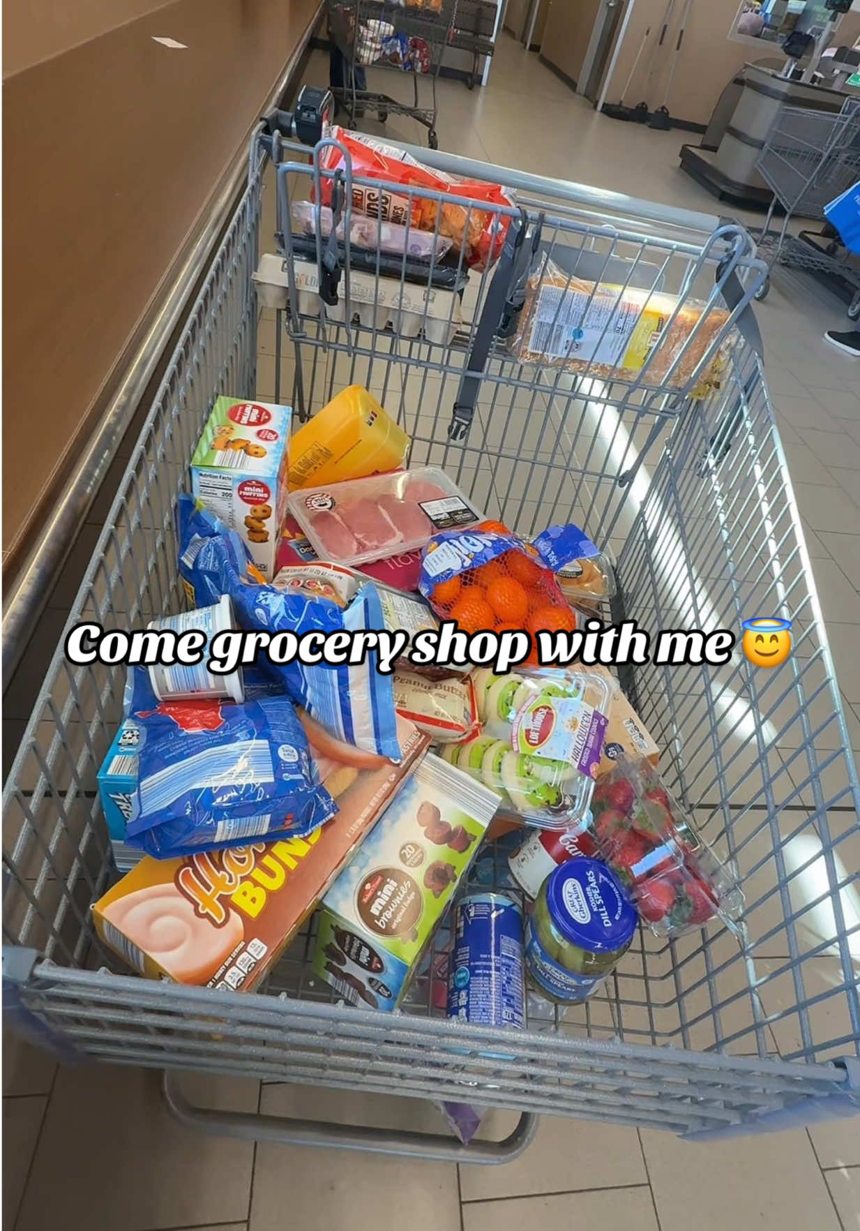 Perfect way to spend my Tuesday 😁 #groceryshopping #alditok #Vlog #goviral 