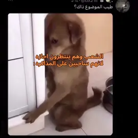 النجده نبغى اجازه 💚🇸🇦🙏🏼#الشعب_الصيني_ماله_حل #pov #explore 