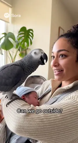 The parrot asked its mother to take the baby out to play with it.#talkingparrots #parrot #fun #parrotlove #baby 