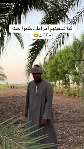 الحاج الضوى كنا شيفينهم اهرامات طلعوا جبنه مثلثات 😂