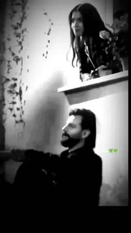 💚💚💚💚💚🕊️🌿🌷