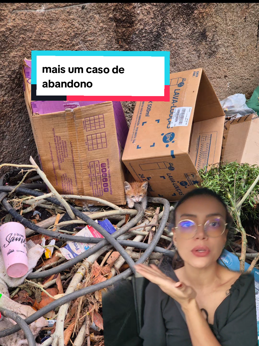 essa pequena ainda sem nome foi resgatada do lixao  #gato #pet #cachorro #