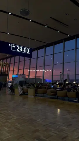 the most gorgeous sunset & airport feeling 🤍🛫 #fyp #airport #travel #aesthetic #sunset 