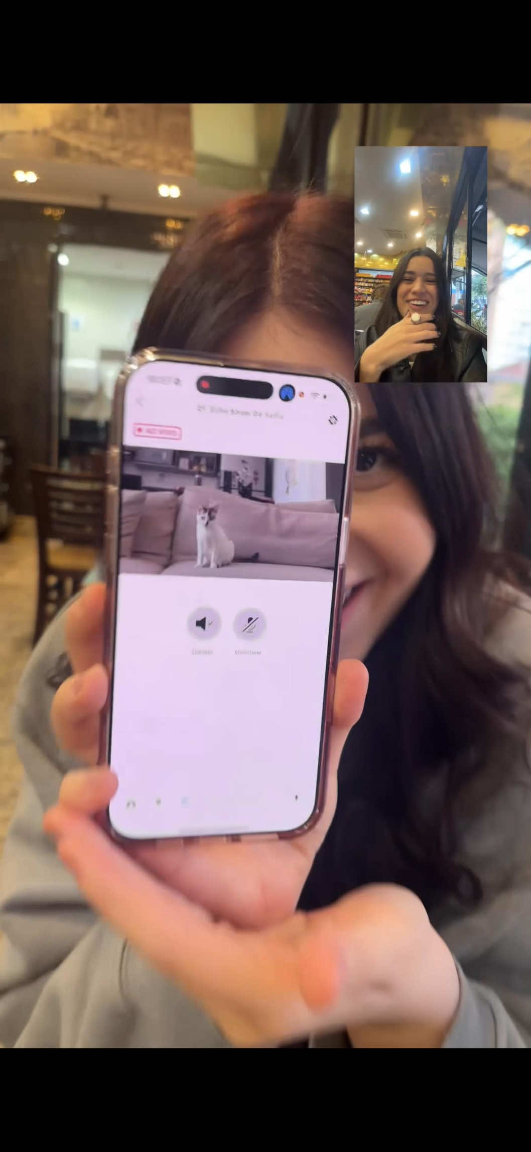 cada uma com seu jeitinho de usar a Alexa…   Impressionante como a #AmazonAlexaBR tá presente em tantas situações do dia a dia! Nos salva de passar frio, lembra a gente dos compromissos e ainda ajuda a vigiar os gatinhos 💙💙  *publi