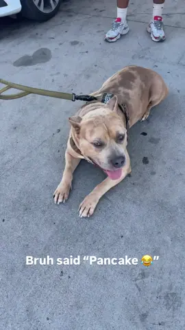 That ain’t no Pancake that’s a demon 💀 #fyp 