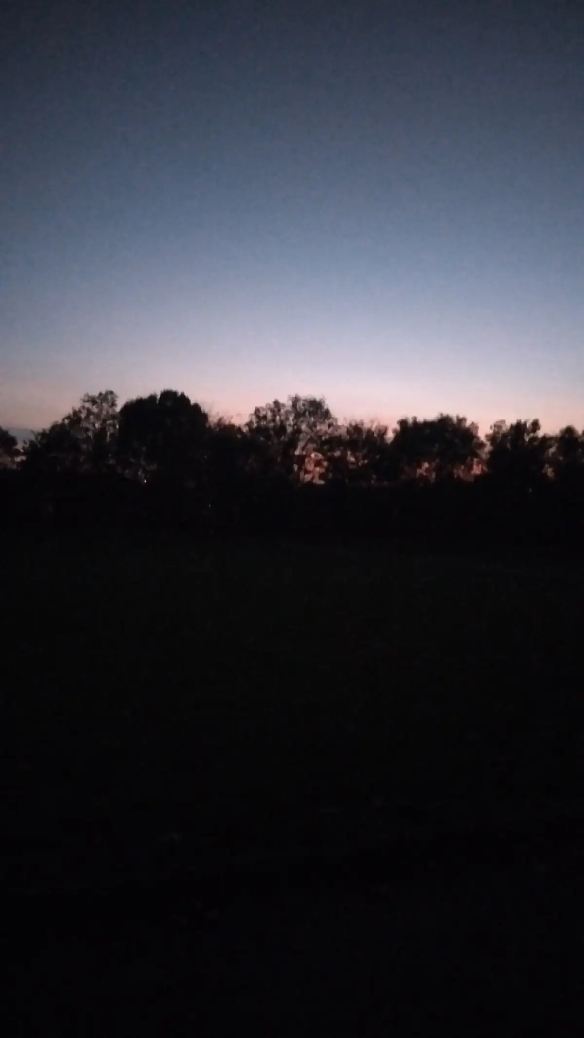 #fyp  #photodump #like #follow #fyp 