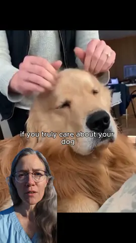 #dog #puppy #fyp #pets #usa 