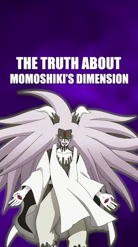 The truth about momoshiki’s 