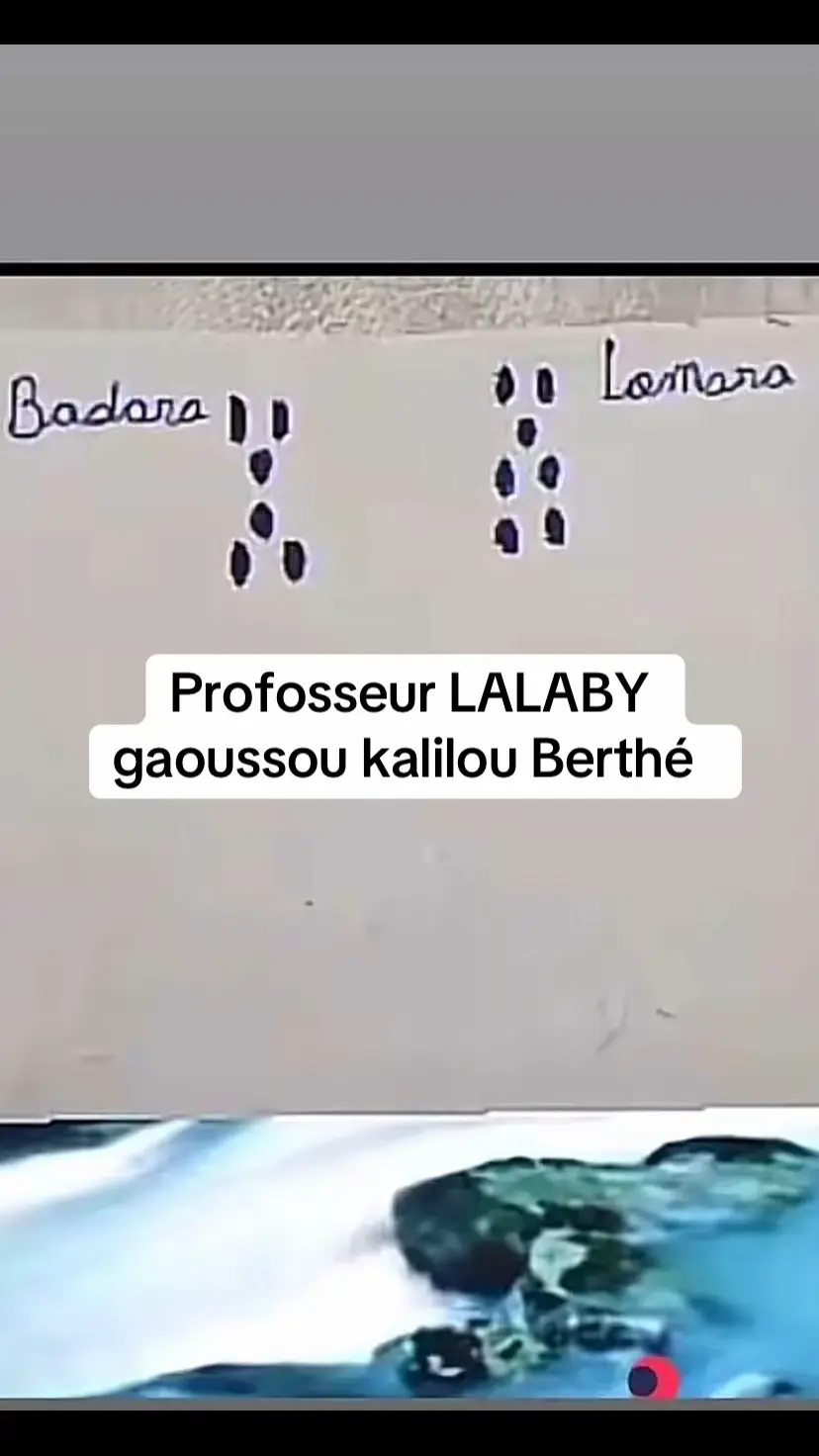 Profosseur LALABY gaoussou kalilou Berthé