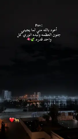 .✨