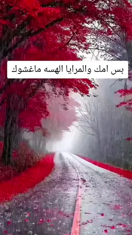 #اعلى_مشاهدة_في_تيك_توك #كلام_من_القلب #اكسبلور #الشعب_الصيني_ماله_حل😂😂 