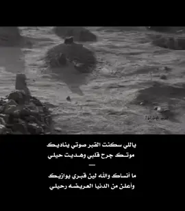 #ياللي_سكنت_القبر_صوتي_يناديك_💔 🪾🌲