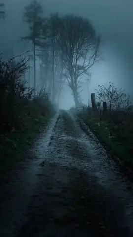 #vibesnaturals #relax #calm #vibes 