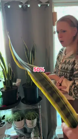 New plant goofing 
