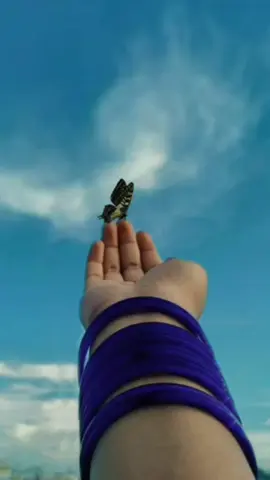 #goodmorning  #morning  #morningvibes  #wednesday   