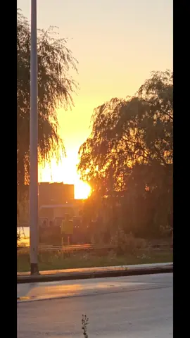 Goodmorning Sunshine.🌞😇