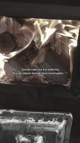 🥀 #keşfet #pourtoi #fürdich #keşfetbeniöneçıkar 