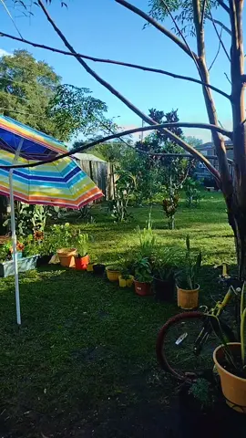 #cierto #nuncaestamosconformes #conloquetenemos #parati #🏡 