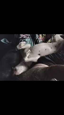 My Nala. I love her so. she's been next to me throughout my whole broken ankle experience lol she's the best #Love #pitbullsoftiktok #prettylittlebaby #sleepy 