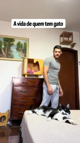 🚨Olha de socorro do gato!!👀🙀 Quem mais se identifica?😽🫶🏻 . . . Alguém mais se identifica com o gato?😬  . . . #gato #humor #frajolito #beijo #meme 
