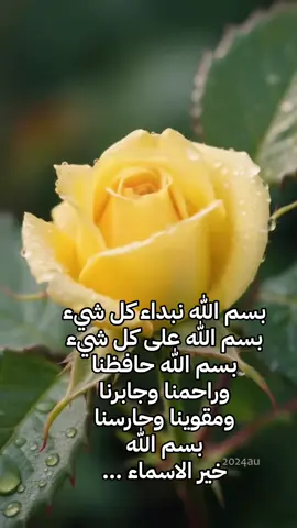 #مرمر💕🌸🌴🕊️🌍 